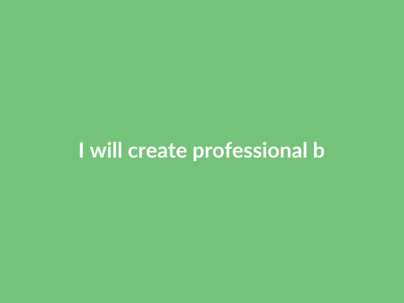 I will create professional business plans