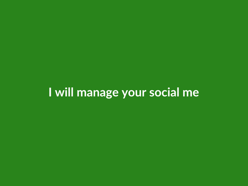 I will manage your social media accounts