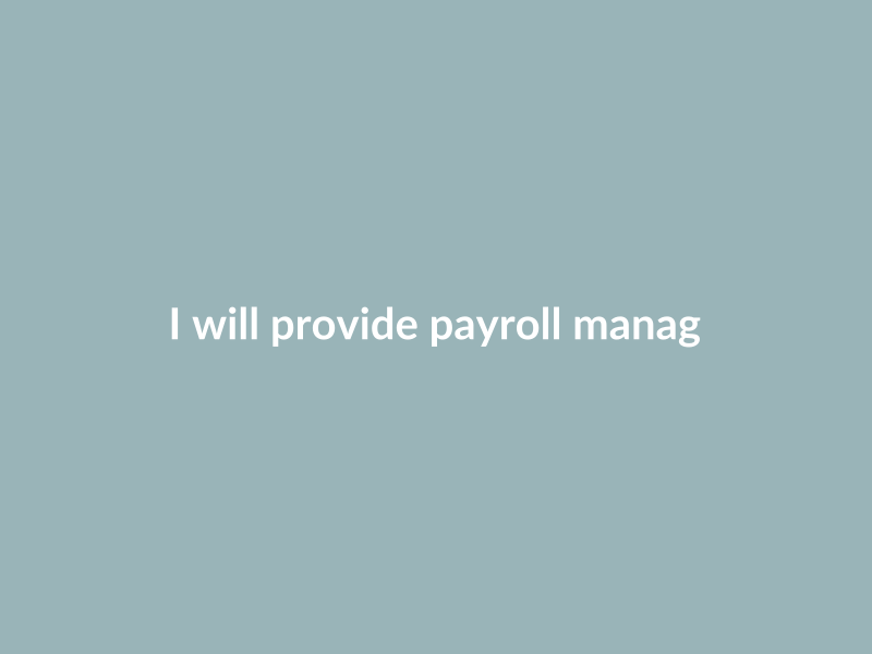 I will provide payroll management services